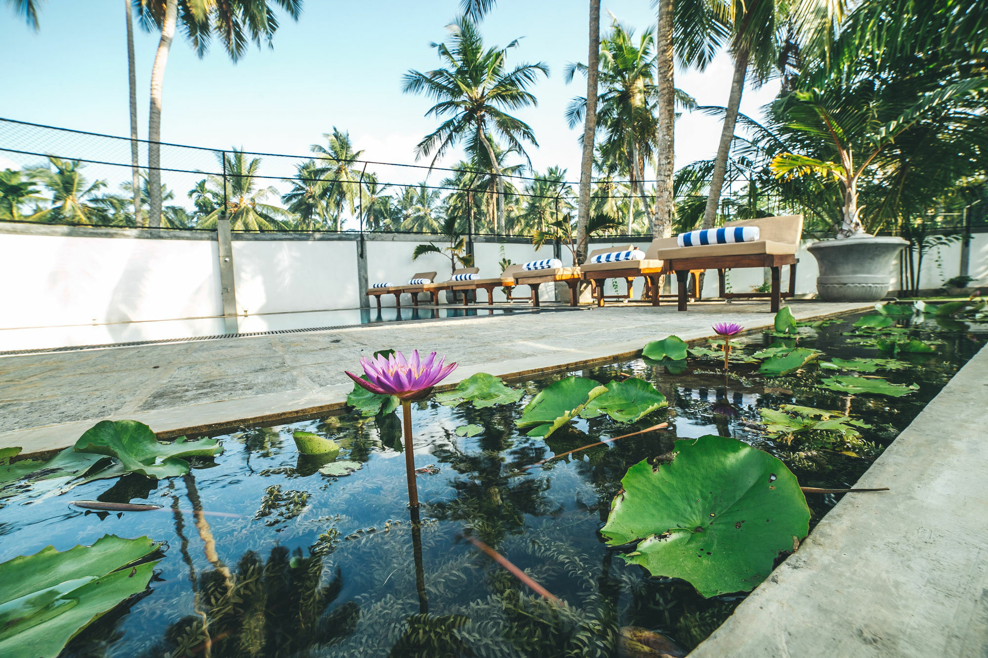 Sisikirana Villa Unawatuna Exteriér fotografie